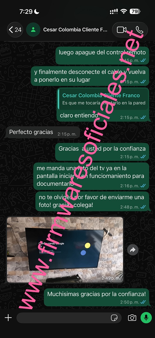 294.jpg